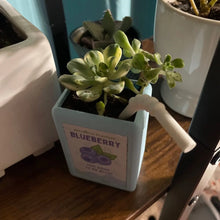 Juice Box Shape Resin Flower Pot- Choose Your Flavor