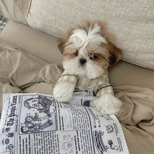 Newspaper Crinkle Dog Toy