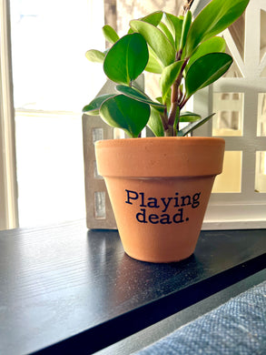 Playing Dead Printed Terra Cotta Flower Pot