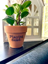 Playing Dead Printed Terra Cotta Flower Pot