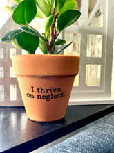 I Thrive on Neglect Printed Terra Cotta Flower Pot