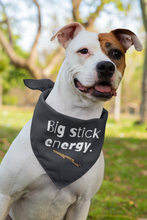Big Stick Energy Bandana Collar